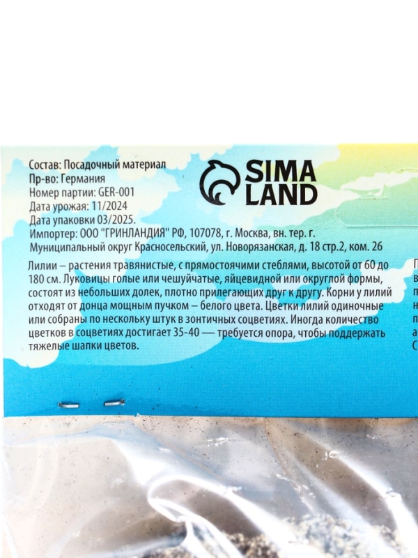 Лилия гибридная «ЛоллиПоп», луковица в пакете с перфорацией, р-р 14/16, 2 шт.