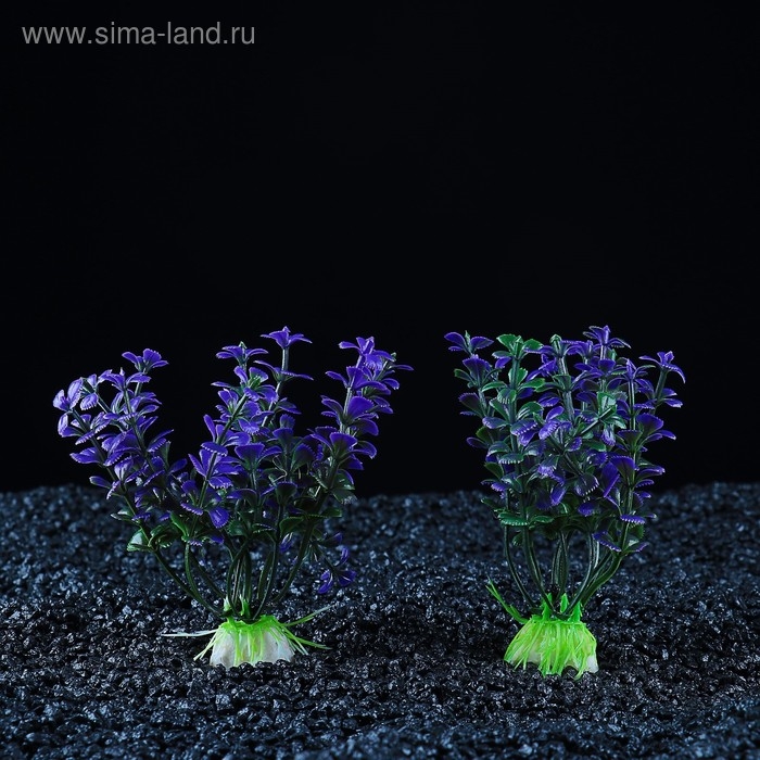 Набор растений искусственных для аквариума (2 шт), 10 см Набор растений искусственных для аквариума (2 шт), 10 см