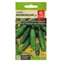 Семена Огурец "Вязниковский 37", Сем. Алт, ц/п, 0,5 г Семена Огурец "Вязниковский 37", Сем. Алт, ц/п, 0,5 г