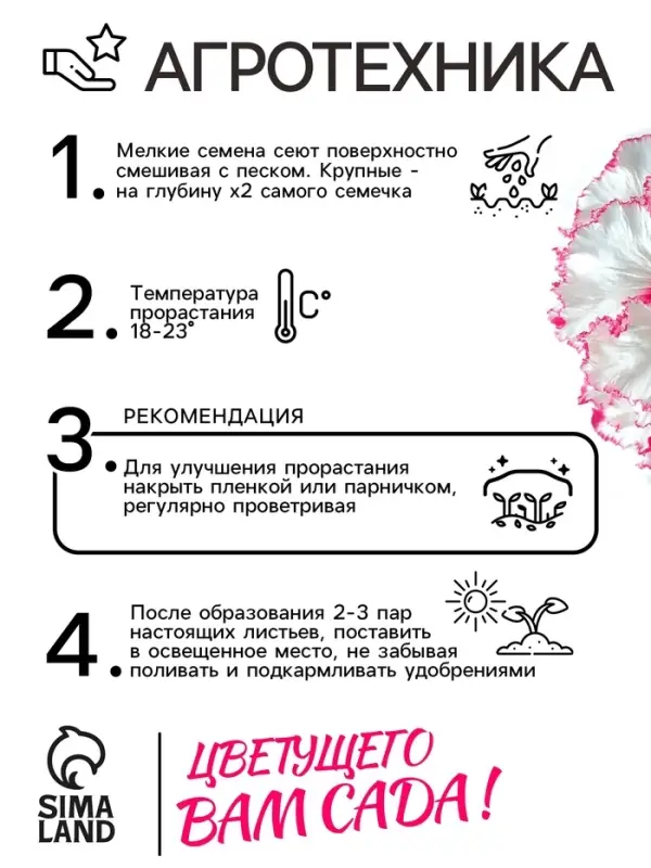 Семена цветов Петуния "Яромнерже", 5 шт.