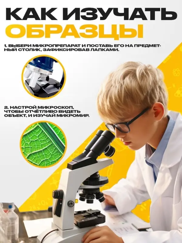 Набор для опытов &laquo;Набор микропрепаратов&raquo;, овощи и зелень