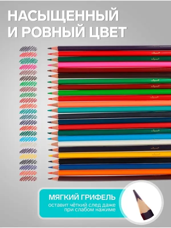 Карандаши Calligrata, цветные, акварельные, 24 цвета