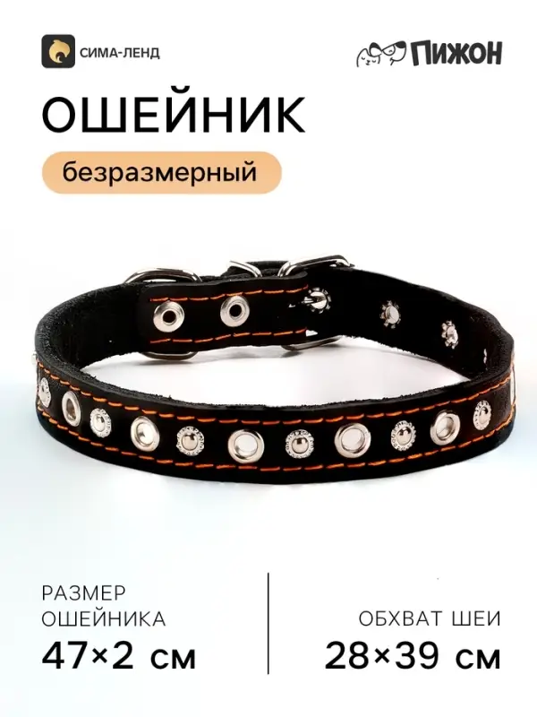 Ошейник украшенный, безразмерный, 47×2 см, ОШ 28-39 см, на синтепоне, кожа, чёрный Ошейник украшенный, безразмерный, 47×2 см, ОШ 28-39 см, на синтепоне, кожа, чёрный