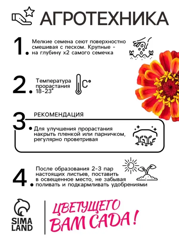Семена цветов Цинния  Семена цветов Цинния "Сомбреро", 0,2 г