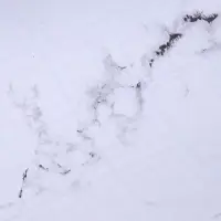 Пленка самоклеящаяся тм VETTA Мрамор, 45см x 8м, ПВХ