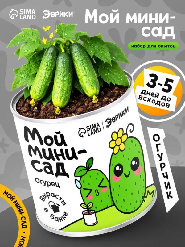 Набор для опытов ЭВРИКИ &laquo;Мой мини-сад&raquo;, огурец
