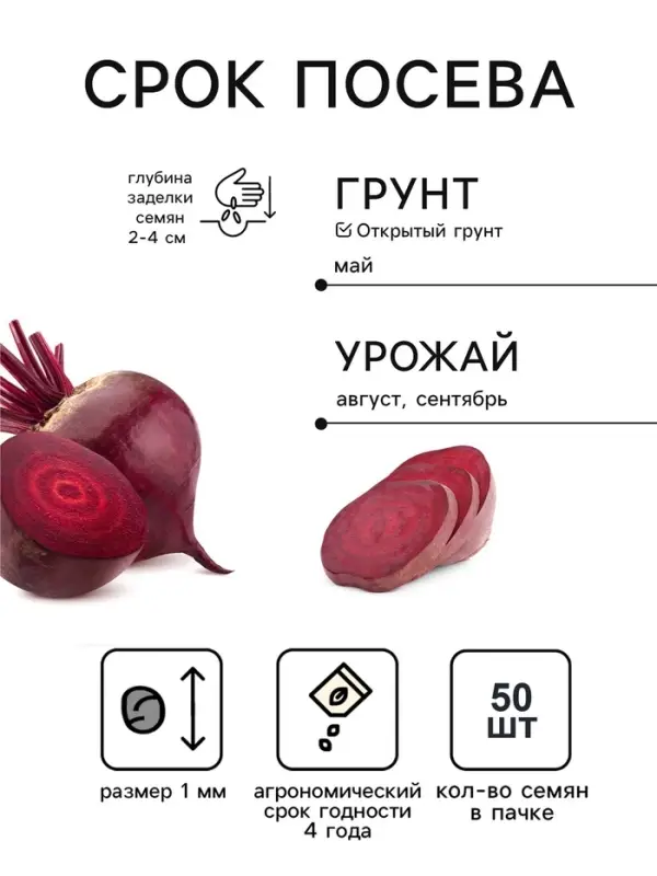 Семена Свекла столовая &laquo;Ронда&raquo;, F1, &laquo;Агрофирма АЭЛИТА&raquo;, 50 шт.