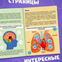 Наклейки &laquo;Как устроено моё тело&raquo;, 16 стр.