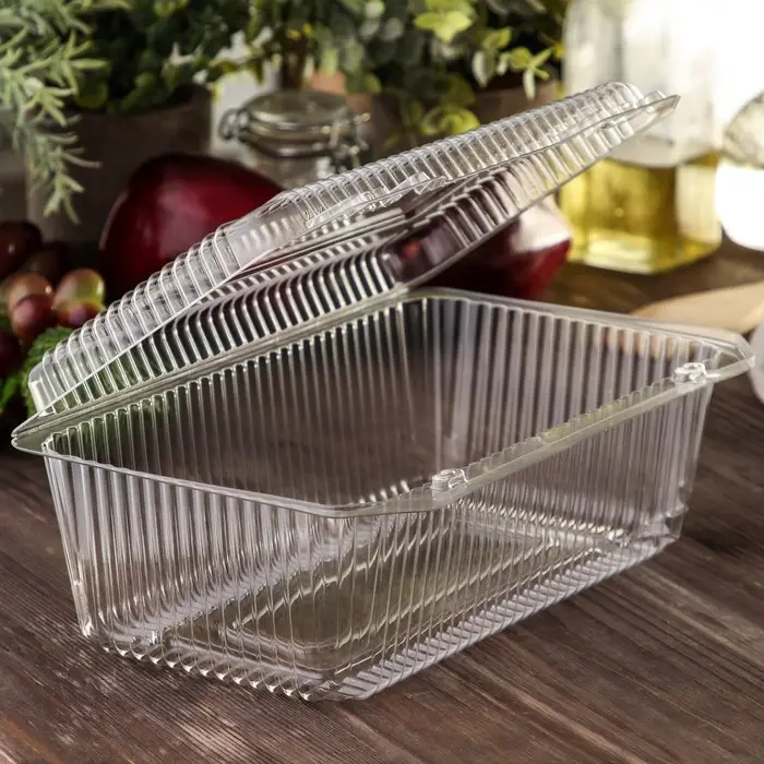 Контейнер одноразовый с неразъёмной крышкой ПР-К-29, пластик, 500 мл, 24.8×15.2×9.2 см, прозрачный