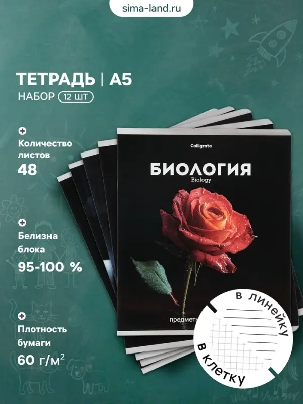 Тетради предметные 12 шт. &laquo;Черная серия&raquo;, 48 листов, со справочной информацией
