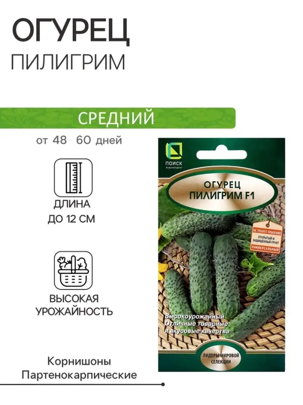 Семена Огурец Пилигрим, F1, 12шт