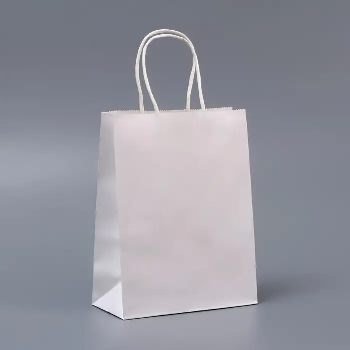 Пакет белый без печати, круглая ручка, 15×21×8 см, 120 г Пакет белый без печати, круглая ручка, 15×21×8 см, 120 г