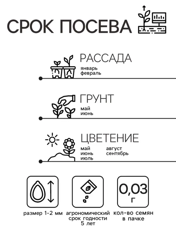 Семена цветов Пеларгония "БРИСТОЛЬ КЭНДИ", F1, 0,03 гр.