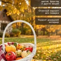 Корзина плетёная, 25&times;25&times;13 см, ручка h=17 см, ива, белая, Greengo