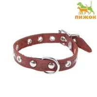 Ошейник кожаный тисненый однослойный, 29&times;1.2 см, безразмерный, микс цветов