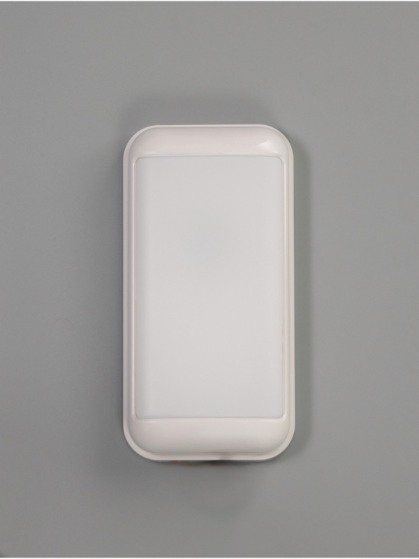 Светильник "Минимал" прямоугольник LED 10Вт 6500К (быстросъемный механизм) белый 5х12х24см   1077725