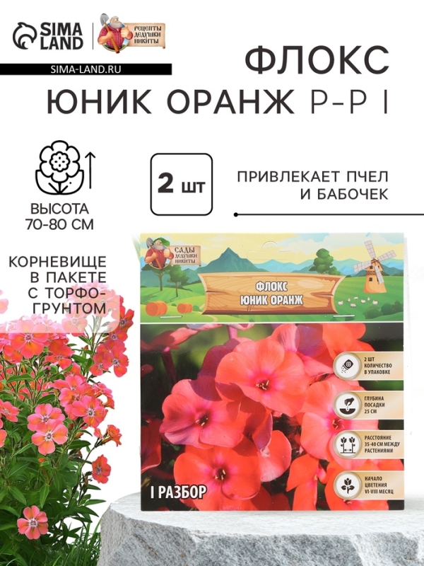 Флокс «Юник Оранж» корневище в пакете с торфогрунтом, р-р I, 2 шт.