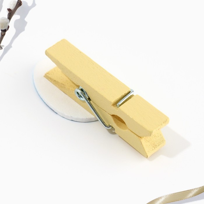 Набор прищепок для украшения вербы «Со Светлой Пасхой!», 10 х 12 см. Набор прищепок для украшения вербы «Со Светлой Пасхой!», 10 х 12 см.