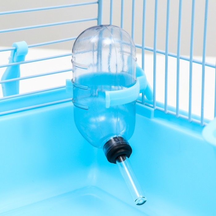 Клетка для грызунов Клетка для грызунов "Пижон", 47 х 30 х 30 см, голубая