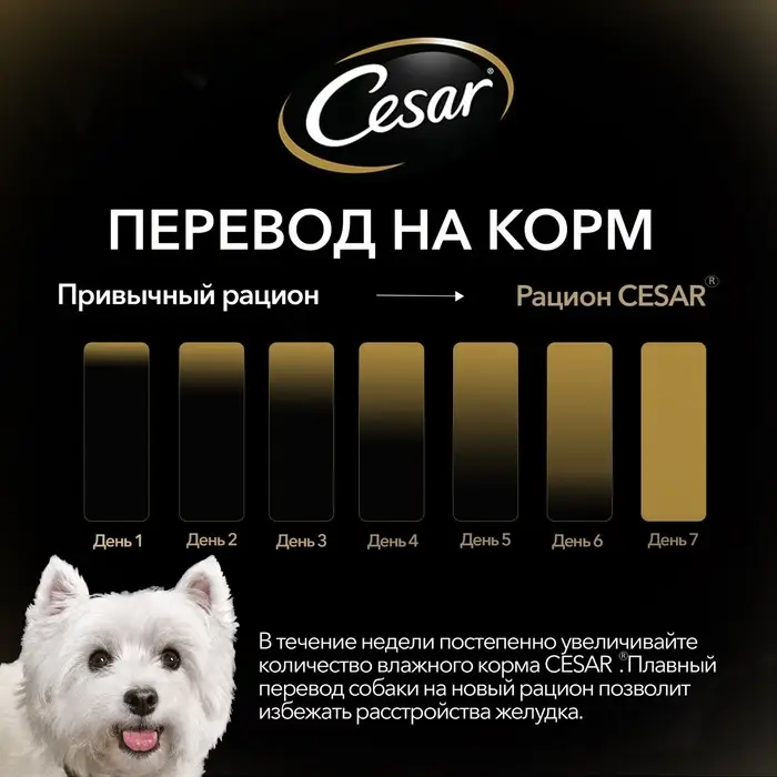 Влажный корм Cesar для собак, говядина с овощами, в соусе, пауч, 85 г