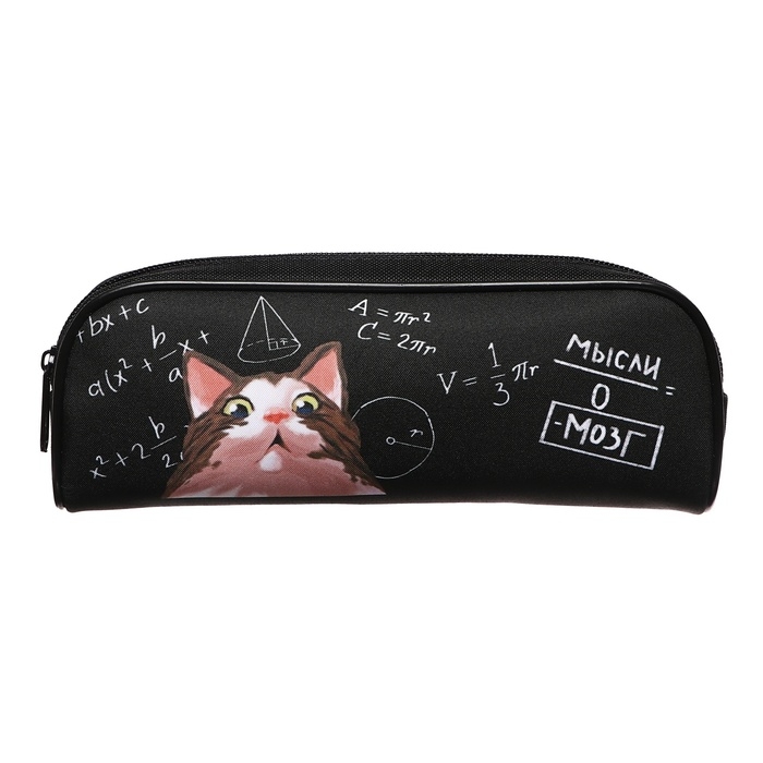 Пенал мягкий, 1 отделение, 80 х 210 х 40 мм, объёмный, Calligrata ПМО 21-20, Пенал мягкий, 1 отделение, 80 х 210 х 40 мм, объёмный, Calligrata ПМО 21-20, "Умный кот"