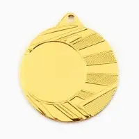 Медаль под нанесение, d= 4 см. Цвет золото. Без ленты Медаль под нанесение, d= 4 см. Цвет золото. Без ленты