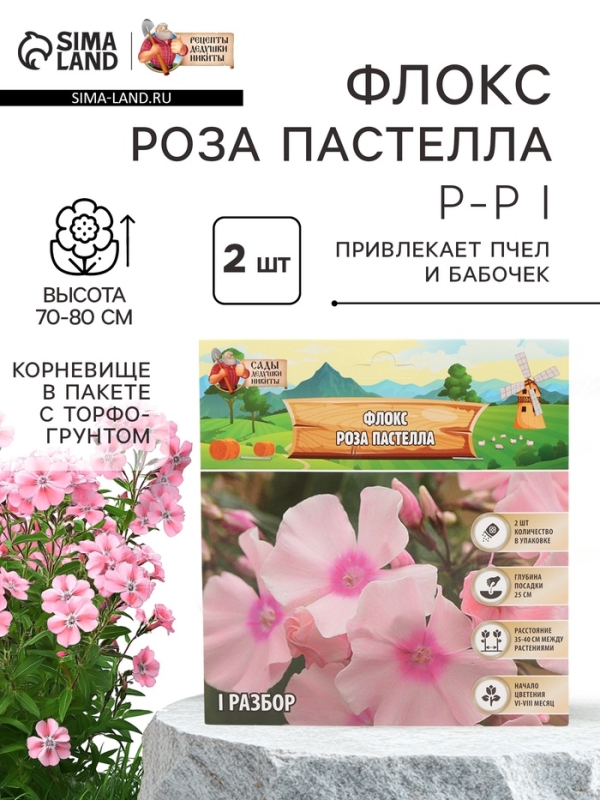 Флокс «Роза Пастелла» корневище в пакете с торфогрунтом, р-р I, 2 шт.