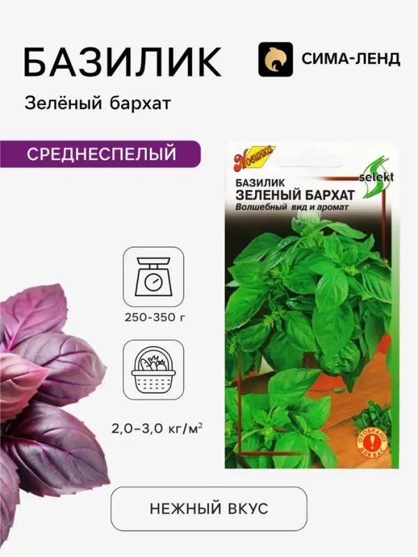 Семена Базилик &laquo;Зеленый Бархат&raquo;, 120 шт., select