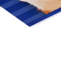 Альбом для рисования Calligrata А4, 8 листов, на скрепке, МИКС