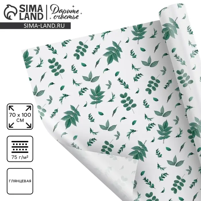 Бумага упаковочная глянцевая «Листочки», 70 х 100 см