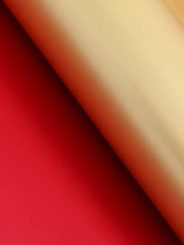 Пленка для цветов, &laquo;Золотая сторона&raquo;, винная, 57&times;57 см &plusmn;5% см