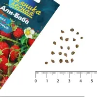 Семена Земляника &laquo;Али-Баба&raquo;, ремонтантная, 0.03 г, &laquo;Семена Алтая&raquo;
