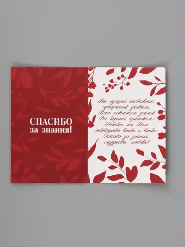 Подарочный набор &laquo;Учитель&raquo;, пакет и открытка, ML 27 &times; 23 &times; 11,5 см