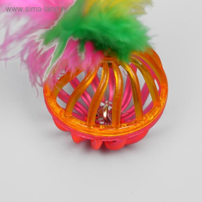 Набор из 2 шариков  Набор из 2 шариков "Завитушки с пером", каждый 4 см, микс цветов