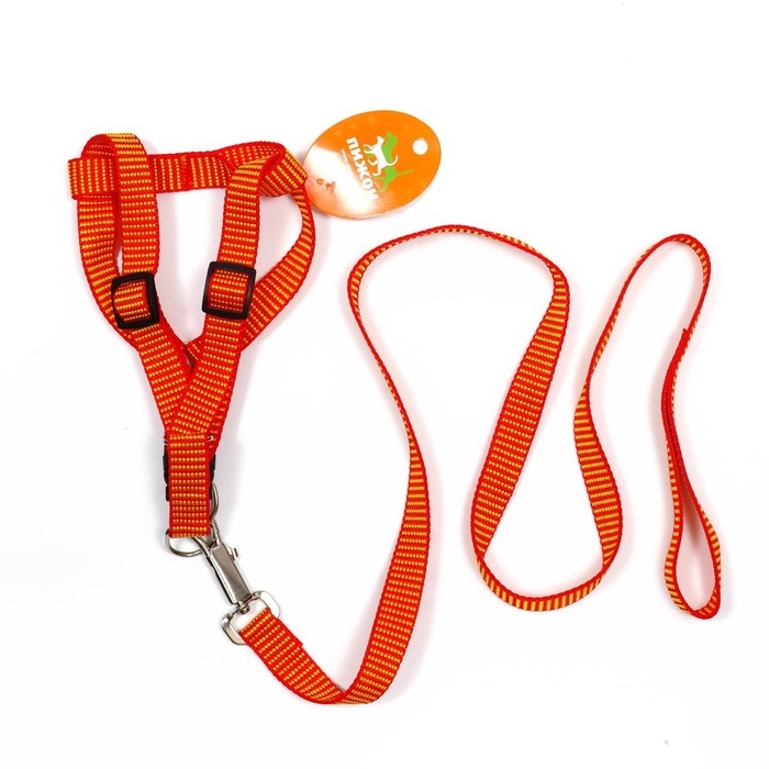 Комплект амуниции рельефный, 2 см, поводок 120 см,красно-жёлтый