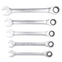 Набор ключей гаечных комбинированных трещоточных в пластике (8-19 мм) (11предметов) AVS K6N11P