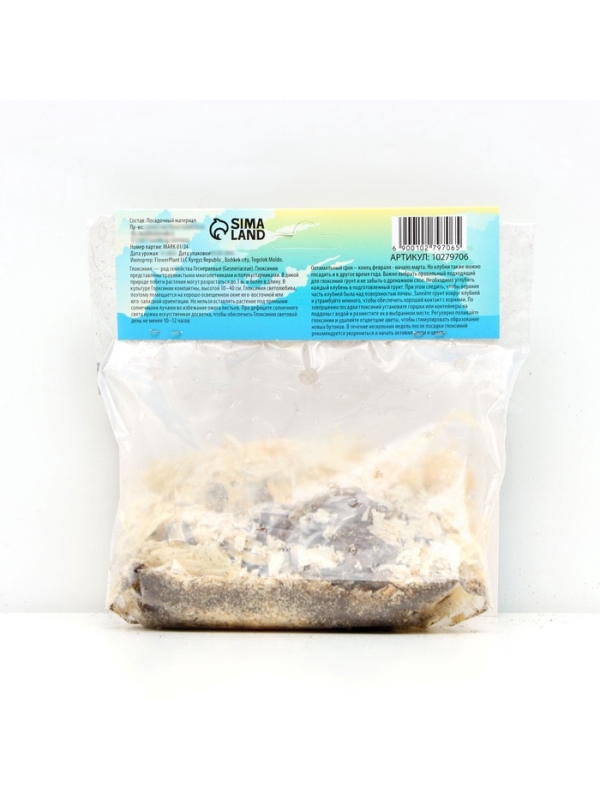 Глоксиния «Кайзер Фридрих», многолетник, комнатный, луковица в пакете с перфорацией, р-р 5/6, 2 шт.