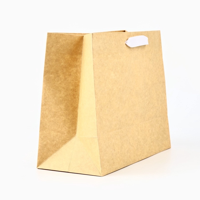 Пакет подарочный новогодний крафтовый с пластиковым окном «Gold», 24 х 20 х 11см Пакет подарочный новогодний крафтовый с пластиковым окном «Gold», 24 х 20 х 11см