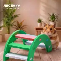 Лесенка для грызунов, с цветными ступеньками, зелёная