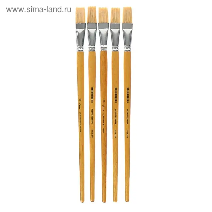 Кисть Кисть "Сонет" №10, щетина, плоская, длинная ручка, d=17 мм