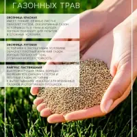Газонная травосмесь Микс &laquo;Мой Выбор&raquo;, травосмесь, 1 кг