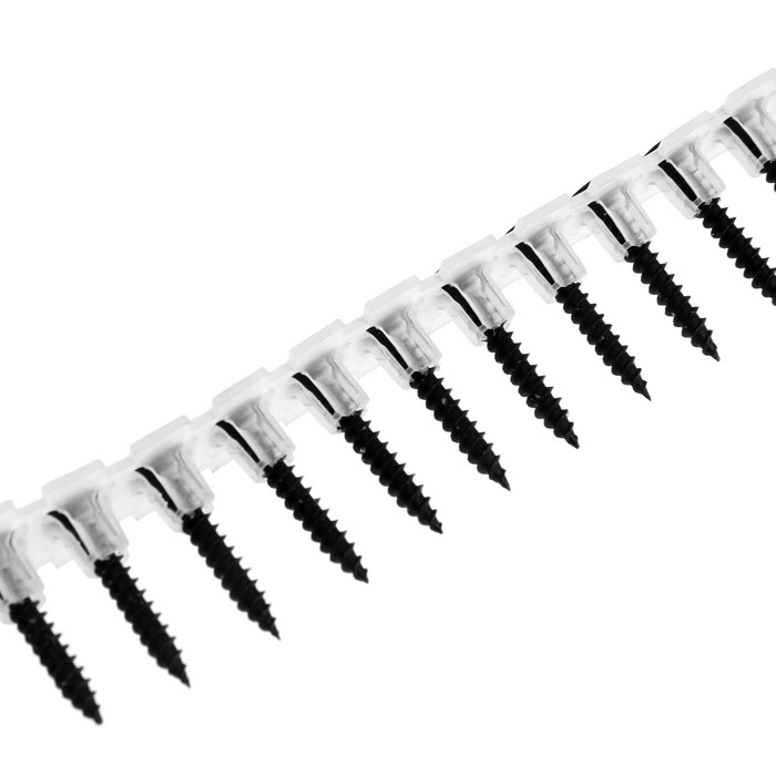 Лента с саморезами ТУНДРА, для насадки на шуруповерт, 50 саморезов, 3.5 х 25 мм Лента с саморезами ТУНДРА, для насадки на шуруповерт, 50 саморезов, 3.5 х 25 мм