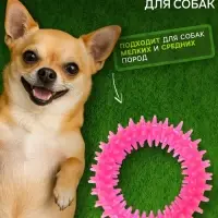 Жевательная игрушка для собак &laquo;Игольчатое кольцо&raquo;, 9 см, розовая