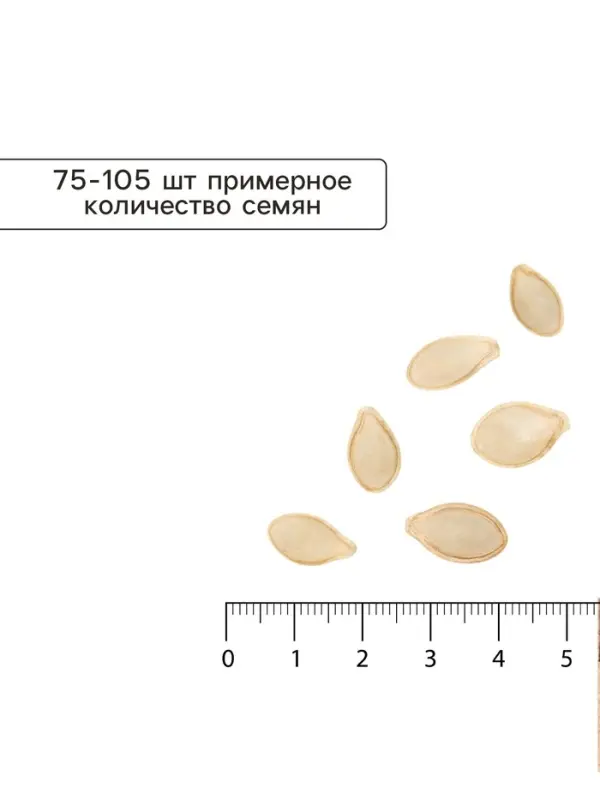 Семена Кабачок цуккини &laquo;Зебра&raquo;, XXXL, &laquo;Сембат&raquo;, 15 г