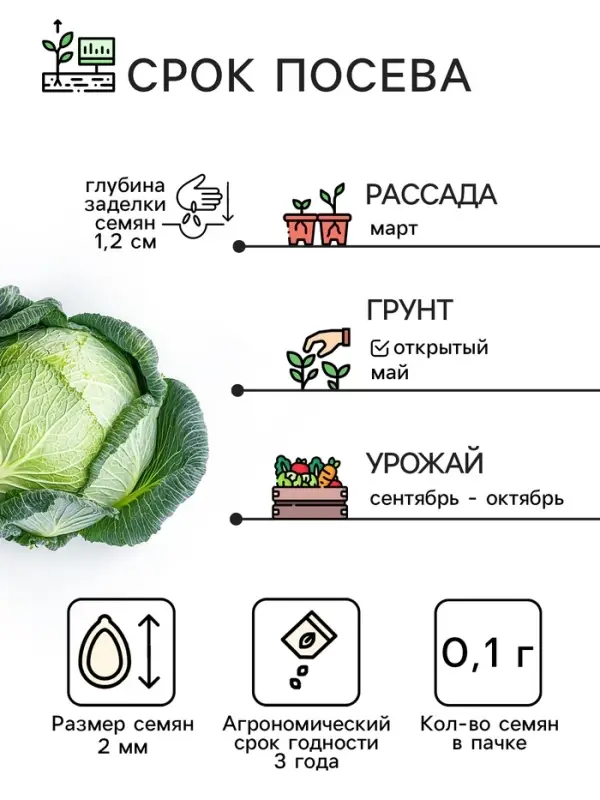 Семена Капуста белокочанная &laquo;Колобок&raquo;, 0.1 г, &laquo;Рецепты дедушки Никиты&raquo;