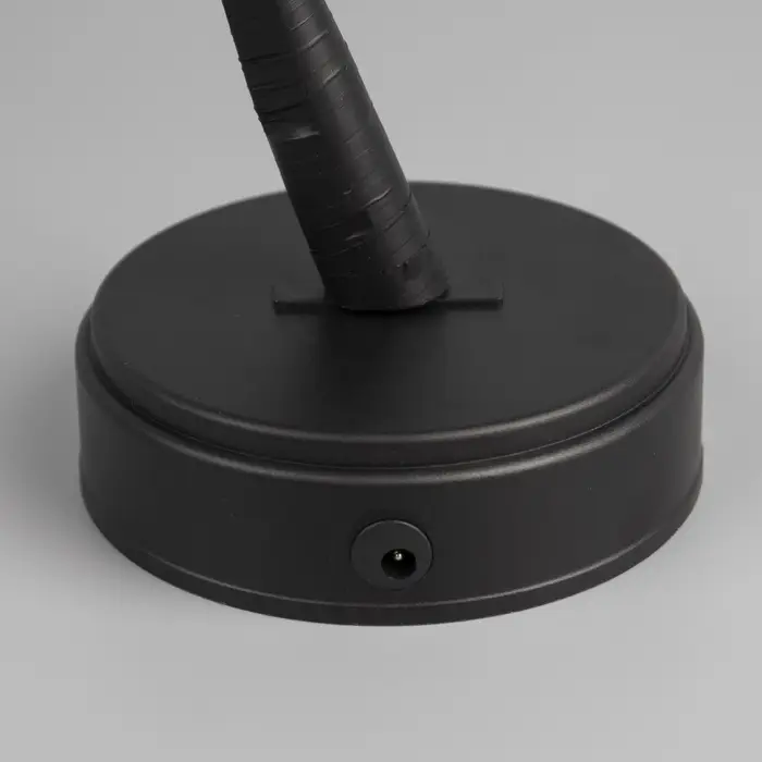Светодиодный куст &laquo;Цветы&raquo; 45 см, 24 LED, постоянное свечение, от батареек AAx3, USB, свечение тёплое белое