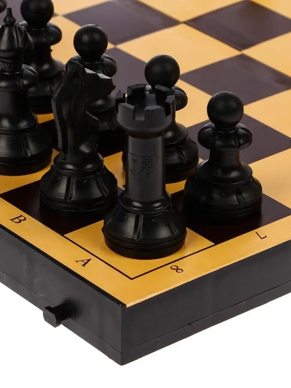 Настольные игры 2 в 1 &laquo;Семейная&raquo;: шахматы, шашки, доска пластик 30&times;30 см