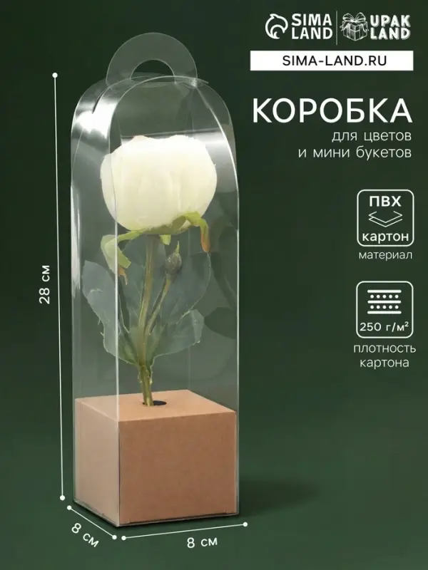 Коробка для мини-букетов и цветов, прозрачная с крафт-основанием 28&times;8&times;8 см, крафт
