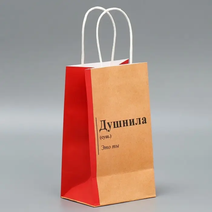 Пакет подарочный крафтовый, упаковка, «Душнила», 12 х 21 х 9 см