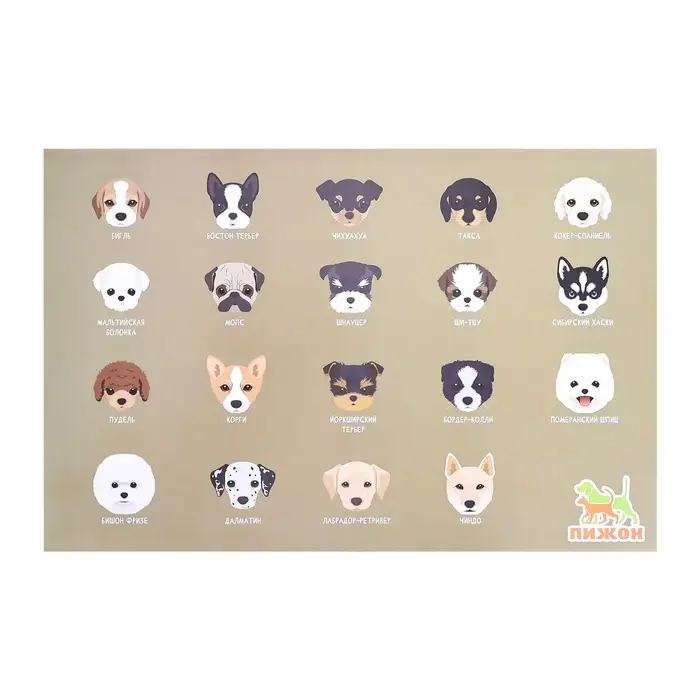 Коврик под миску  Коврик под миску "Пижон" 43 х 28 см "Породы собак"